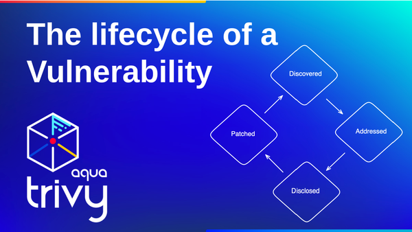 The lifecycle of a Vulnerability